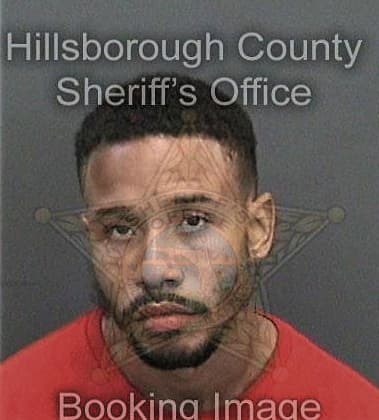 Matthew Deboer, - Hillsborough County, FL 