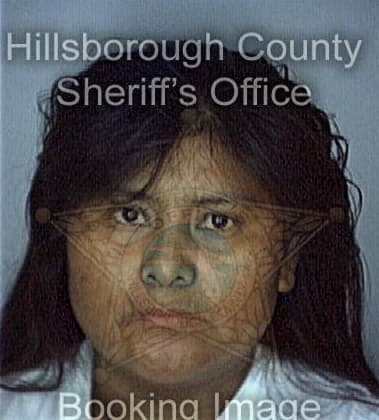 Maritza Echevarria, - Hillsborough County, FL 