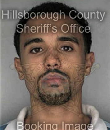 Jose Ortega, - Hillsborough County, FL 