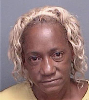 Toni Smith - Pinellas County, FL 