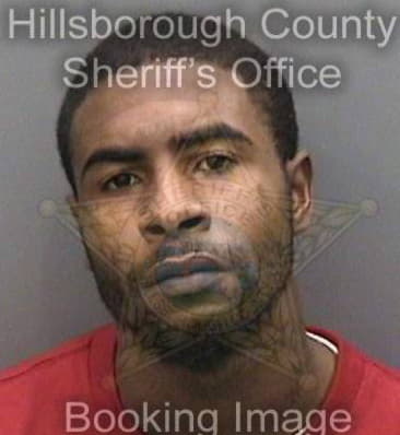 James Williams, - Hillsborough County, FL 