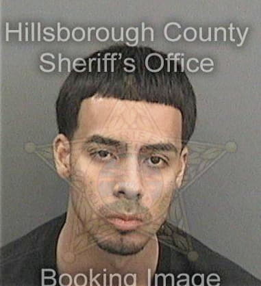 Adrian Cohen - Hillsborough County, FL 