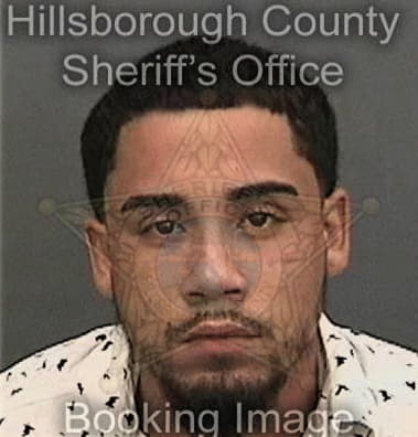 Eduardo Diazsoto, - Hillsborough County, FL 