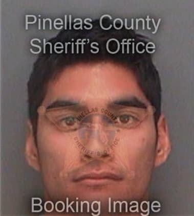 Luis Dominguez, - Pinellas County, FL 