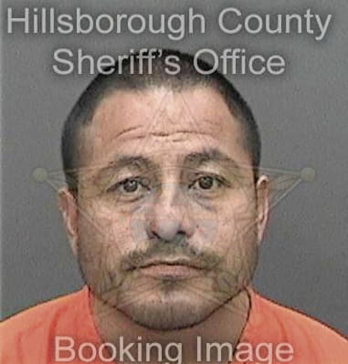 Vincent Mandile, - Hillsborough County, FL 