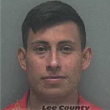 Matthew McNulty, - Lee County, FL 