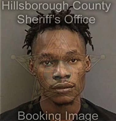 Deandre Nelson, - Hillsborough County, FL 