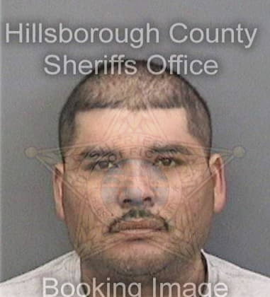 Danny Peavy, - Hillsborough County, FL 