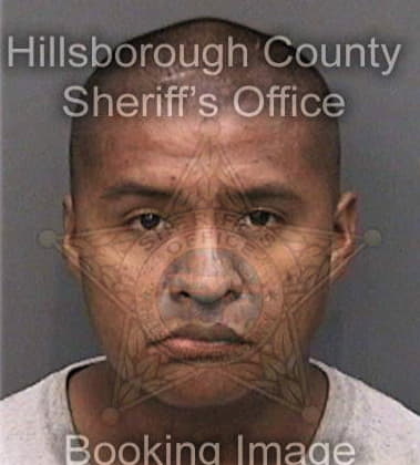 Brandon Rich, - Hillsborough County, FL 