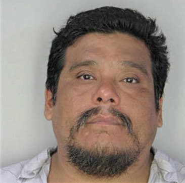 Timoteo Garcia, - Hillsborough County, FL 