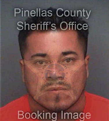 Martin Osoria, - Pinellas County, FL 