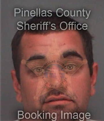 Matthew Poggendick, - Pinellas County, FL 