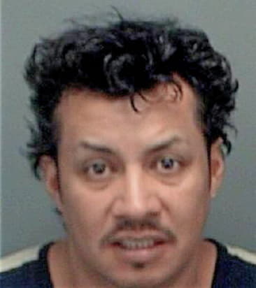 Dwight Zavalarodriguez, - Pinellas County, FL 