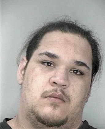 Dominic Guagliardo, - Hillsborough County, FL 