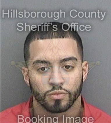 Jeremy Guttman, - Hillsborough County, FL 