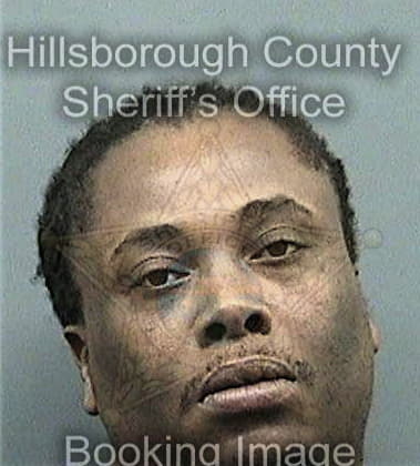 Thaddeus Harrington, - Hillsborough County, FL 