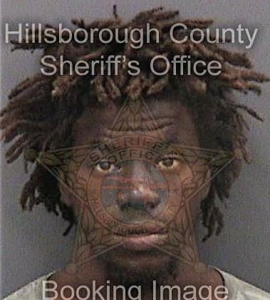 Delon Lee, - Hillsborough County, FL 