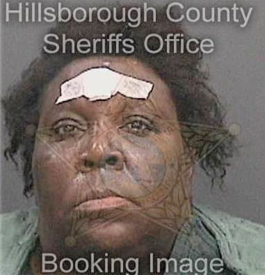 Brianna McNeil - Hillsborough County, FL 