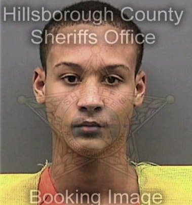 Franco Mitchell - Hillsborough County, FL 