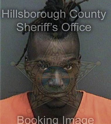 Maxwell Osanyintolu, - Hillsborough County, FL 