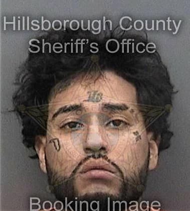 Ernesto Solorionavarro, - Hillsborough County, FL 