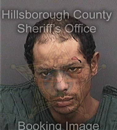 Felix Dejesus, - Hillsborough County, FL 