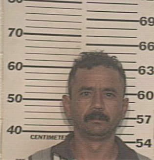 Ramiro-Flores Perez, - Hidalgo County, TX 