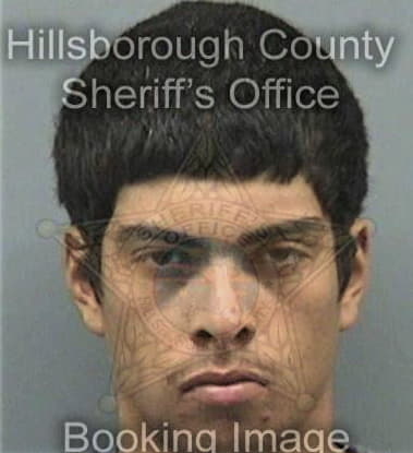 Anthony Rollins, - Hillsborough County, FL 