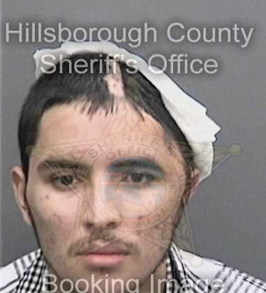 William Smith, - Hillsborough County, FL 