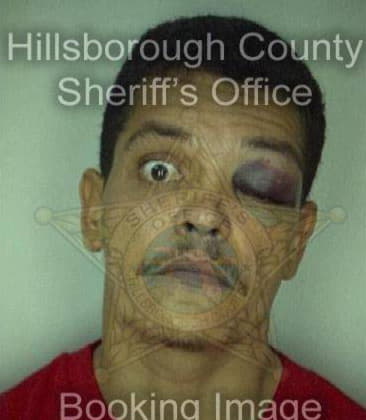 Robert Clark - Hillsborough County, FL 