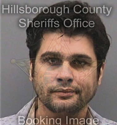 Andres Garciagallego, - Hillsborough County, FL 