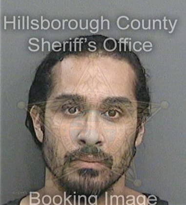 Stephen Harrell, - Hillsborough County, FL 