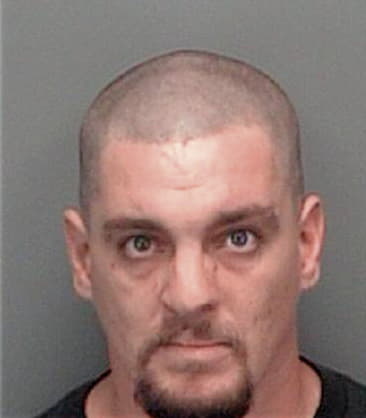 Anthony Hodson, - Pinellas County, FL 