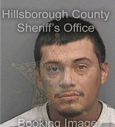 Timothy Malone, - Hillsborough County, FL 