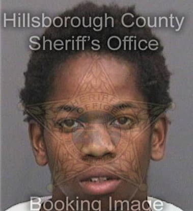 Narick Williams, - Hillsborough County, FL 