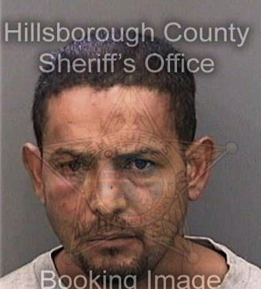 Enrique Espinozagarcia, - Hillsborough County, FL 