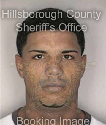 Robert McGowan - Hillsborough County, FL 