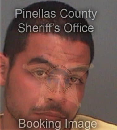 Krzysztof Molenda, - Pinellas County, FL 