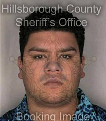 Joseph Robertson - Hillsborough County, FL 