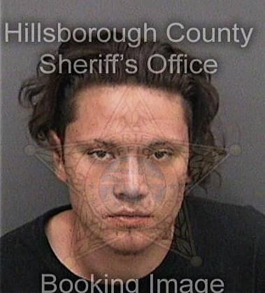 Dennis Aguilaralonso, - Hillsborough County, FL 