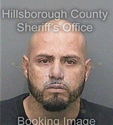 Fellipe Desilva, - Hillsborough County, FL 