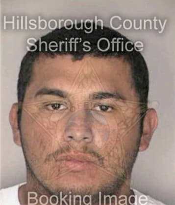 Porfirio Estrada, - Hillsborough County, FL 