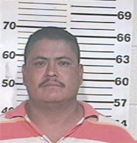 Maynor Pena, - Hidalgo County, TX 