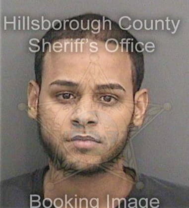 Victor Thiel, - Hillsborough County, FL 