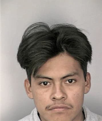 Domingo Bermuder - Hillsborough County, FL 