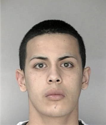 Michael Briggs - Hillsborough County, FL 