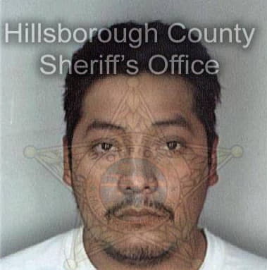 Raymond Briles - Hillsborough County, FL 