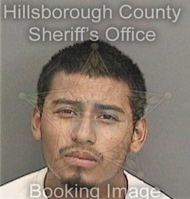 Christopher Moline, - Hillsborough County, FL 