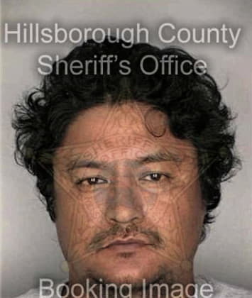 Deiby Orozco, - Hillsborough County, FL 