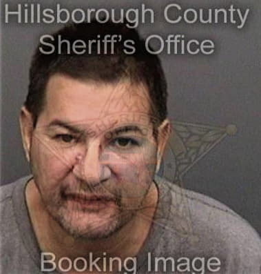 Dirceu Ramirezromero, - Hillsborough County, FL 